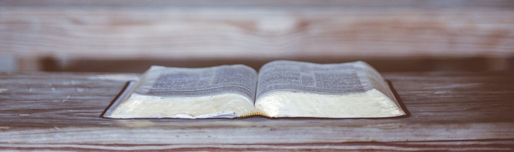 Fachbuch FertiPROTEKT Netzwerk e.V.